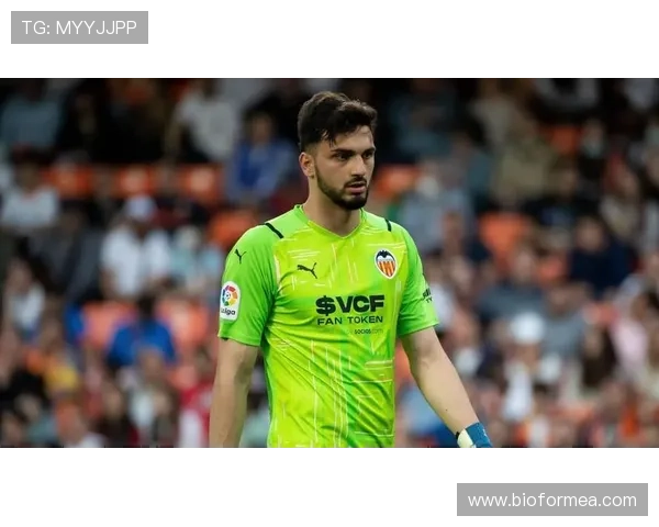 西甲重磅转会分析：明星球员加盟带来球队实力持续提升