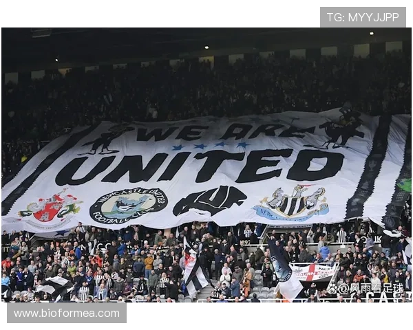 纽卡斯尔联伤病危机持续，球迷对赛季前景表现担忧