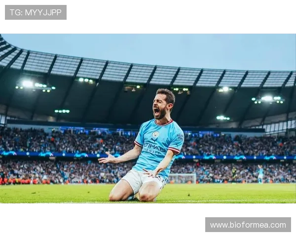 贝尔纳多视野广