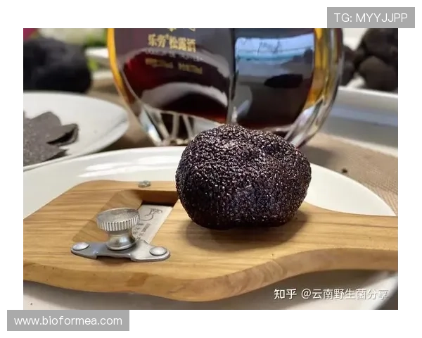 孔帕尼家里冰箱塞满黑松露，训练完直接啃？